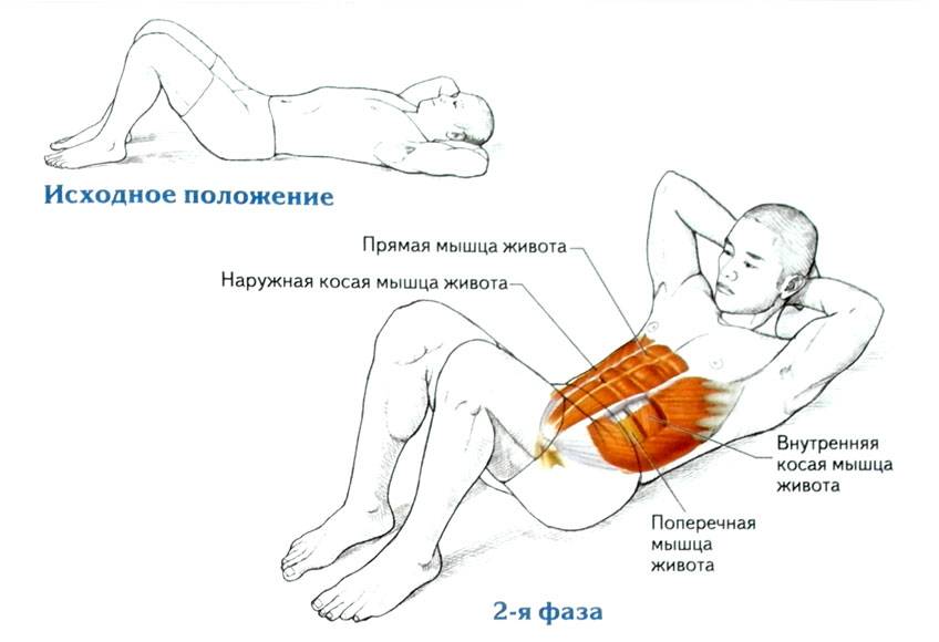 Упражнения на косые мышцы живота: как накачать боковой пресс для мужчин и женщин в домашних условиях или в тренажерном зале