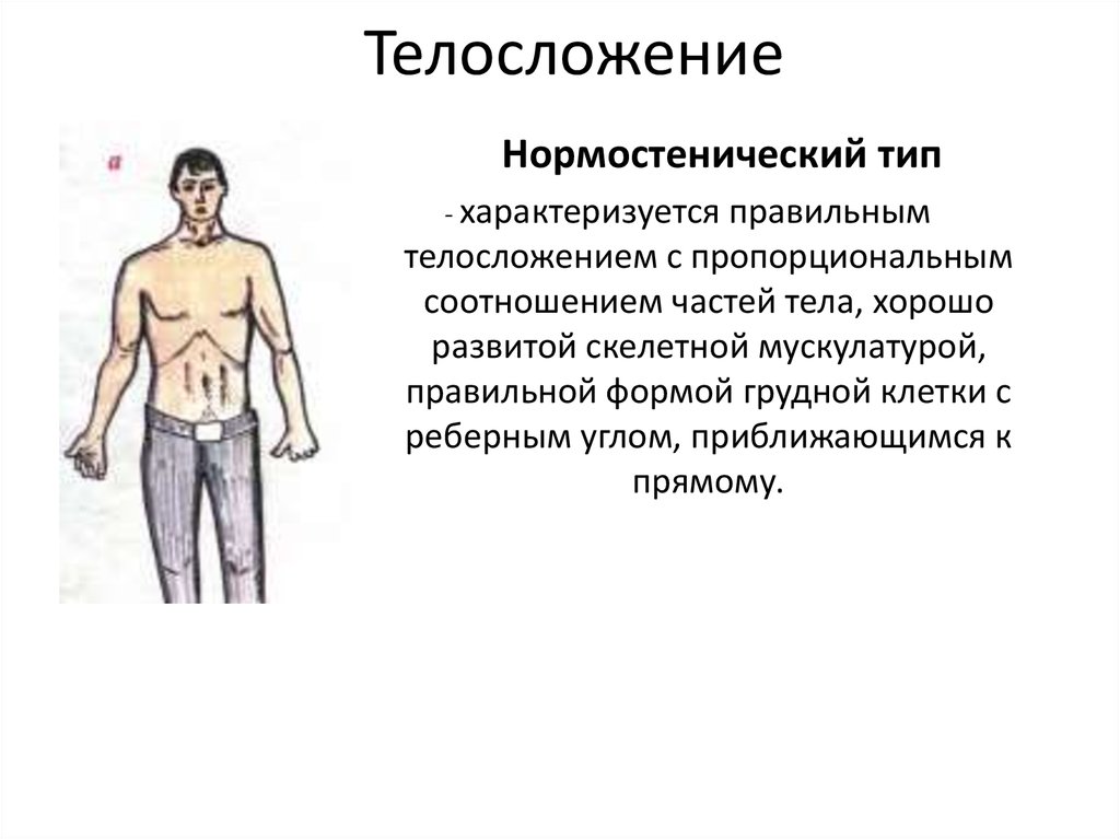 Типы телосложения у женщин и их описание: астеническое, нормостеническое, геперстеническое