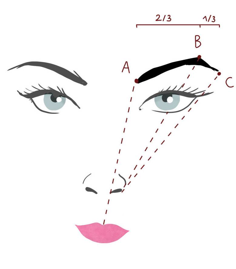 Правильно нарисовать брови по точкам