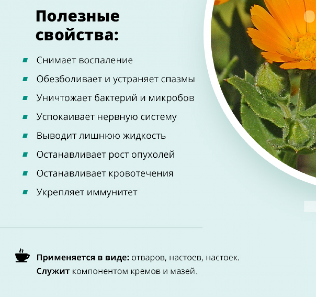 Календула [польза для кожи и применение в косметике]