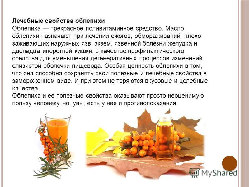 Облепиховое масло (hippophae oleum). как принимать облепиховое масло для лечения и профилактики: полезные свойства, состав, инструкция и отзывы