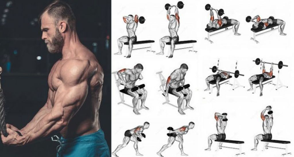 Тренировка на спину и грудь для женщин: 10 упражнений