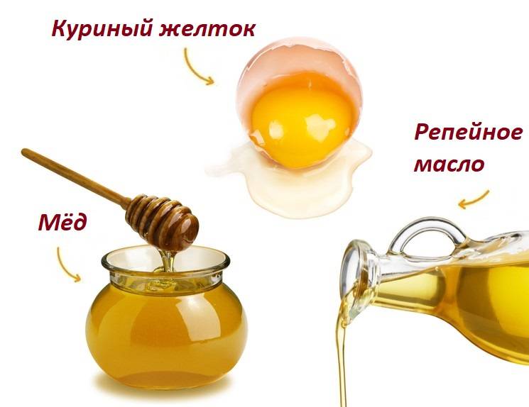 Эффективные маски для волос с медом: рецепты