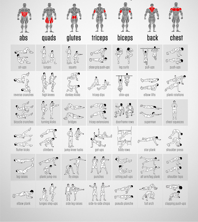 Упражнения для сушки тела для мужчин в тренажерном зале с картинками