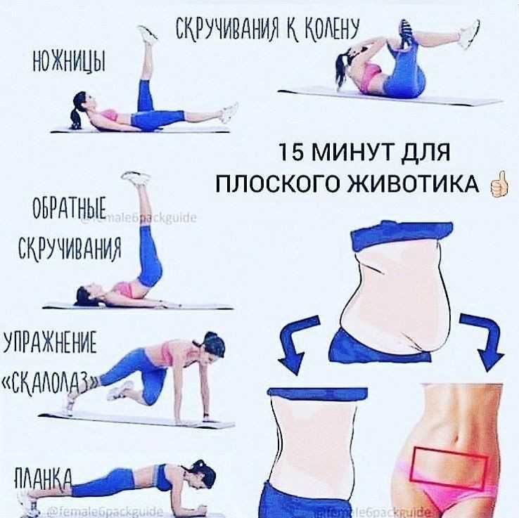 Комплекс упражнений для плоского живота и тонкой талии: секреты похудения и техника выполнения | xn--90acxpqg.xn--p1ai