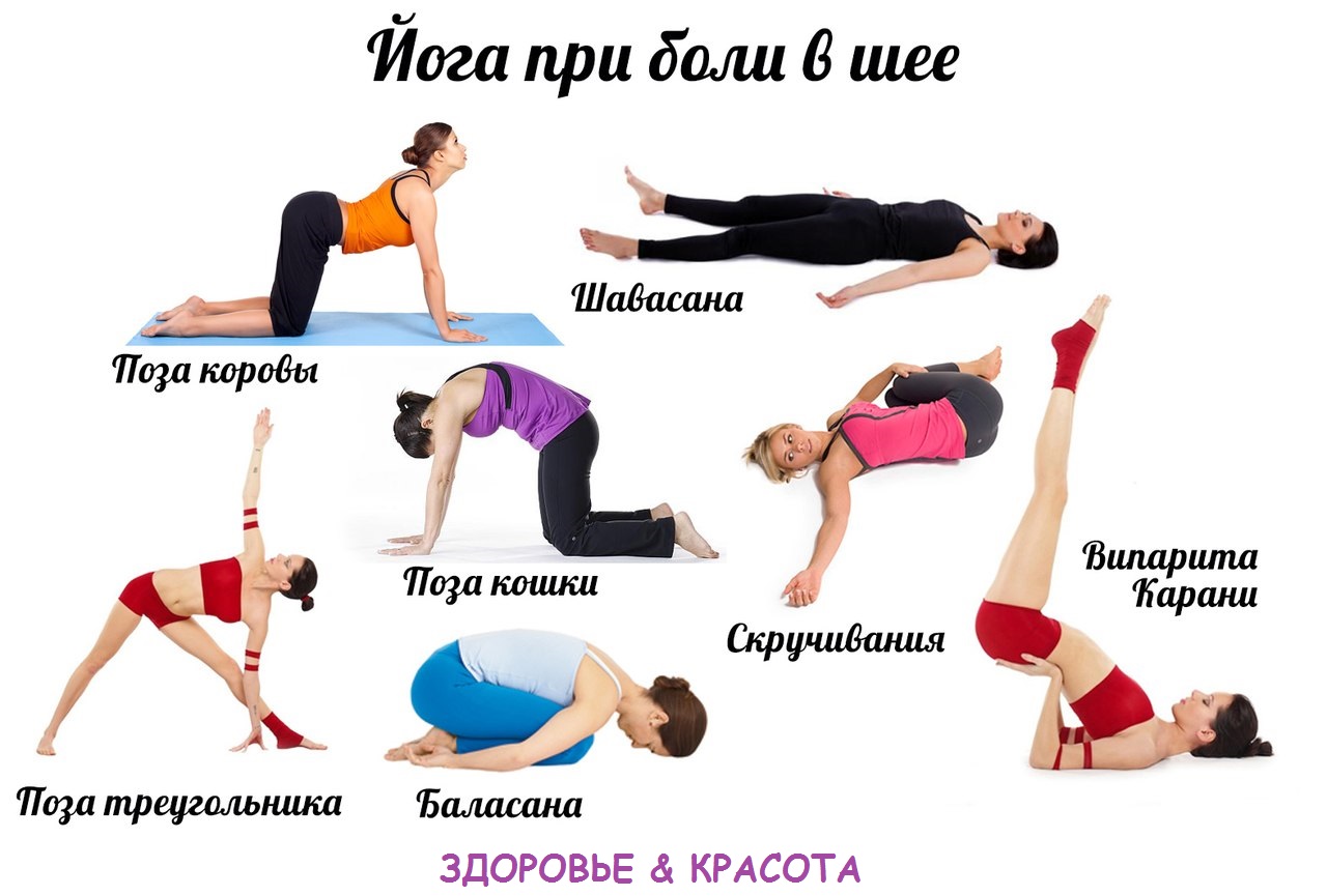Йога для начинающих: 6 упражнений для укрепления спины | секреты красоты | здоровье
