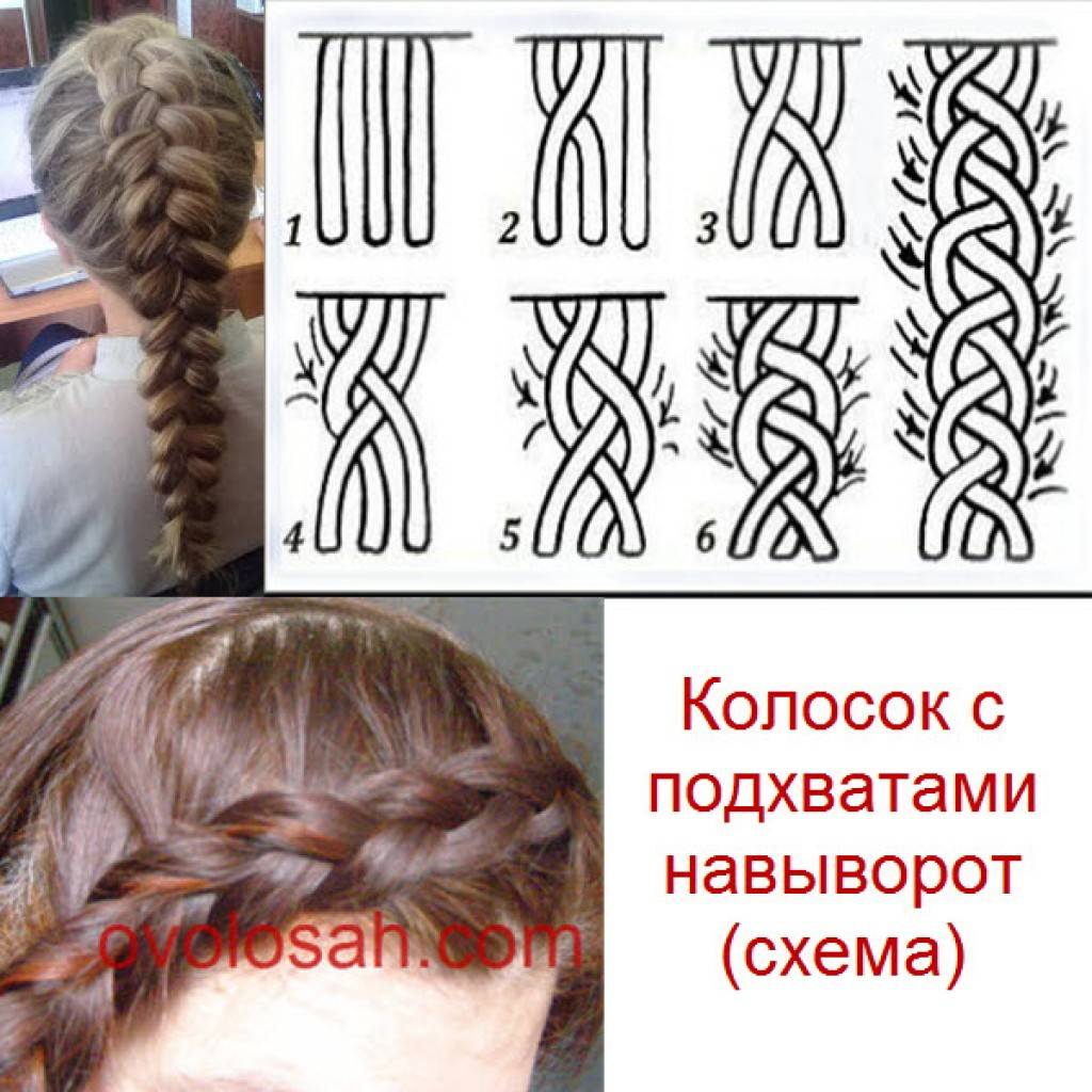 Плетение кос. виды и схемы плетения кос |