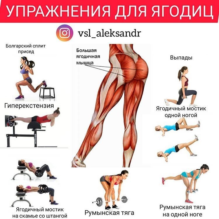 Как накачать попу за неделю в домашних условиях