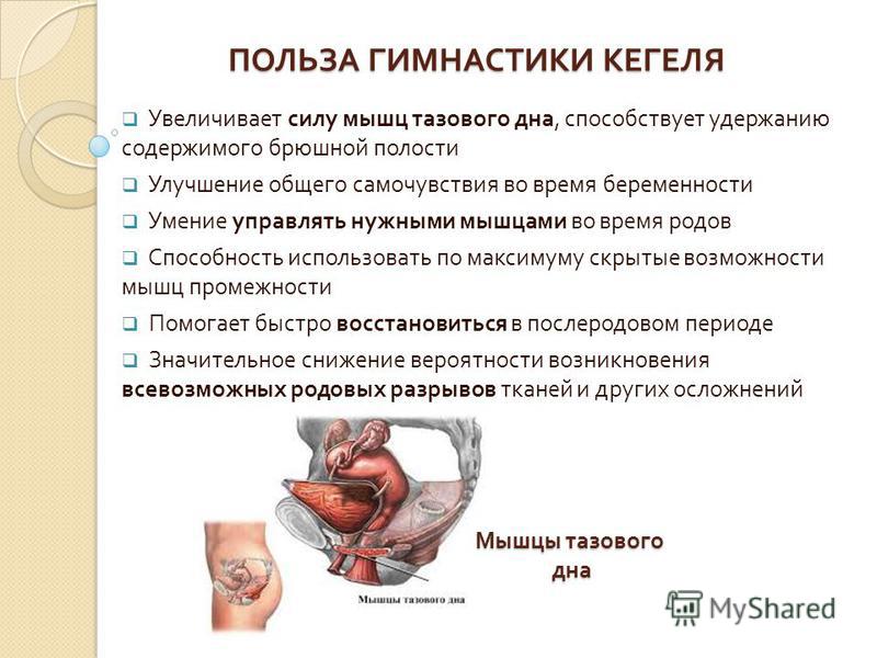 7 способов поддерживать ваши половые органы молодыми