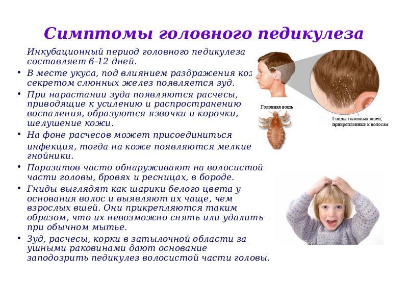 Для обработки волосистой части головы при обнаружении педикулеза можно использовать раствор