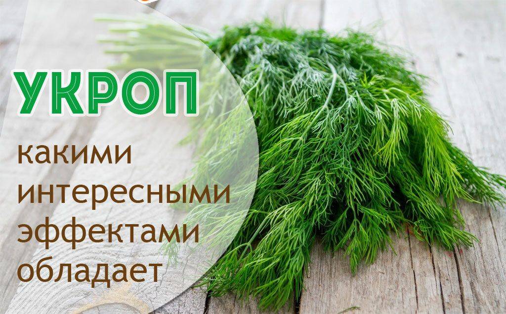 Укроп и петрушка для кожи лица