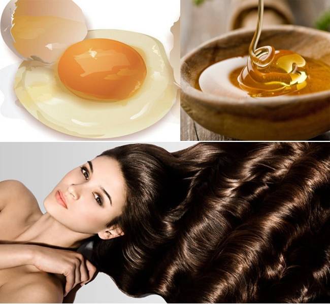Маска для волос из меда и яйца(9 вариантов и инструкции)