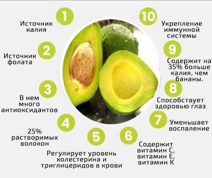 Проверенные рецепты домашних масок из авокадо - jlica.ru