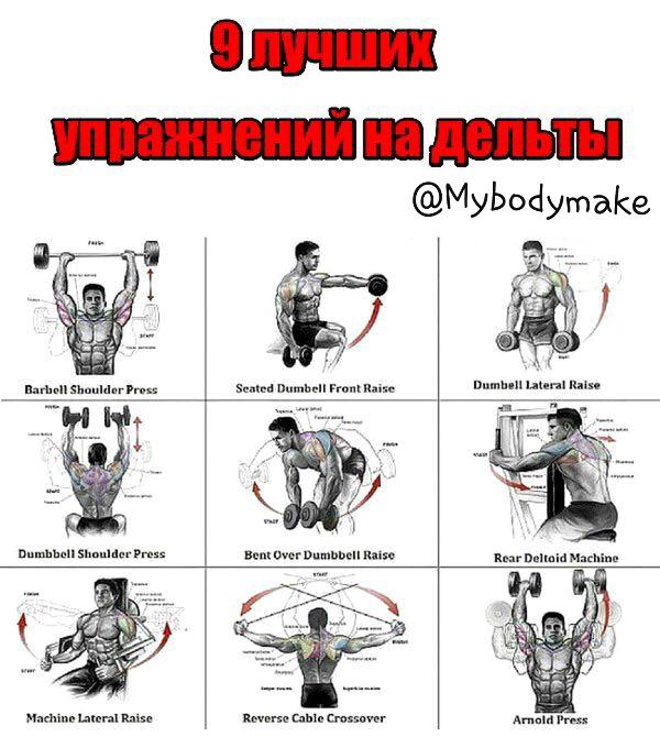 Упражнения на спину в тренажерном зале для мужчин на рельеф с картинками для начинающих