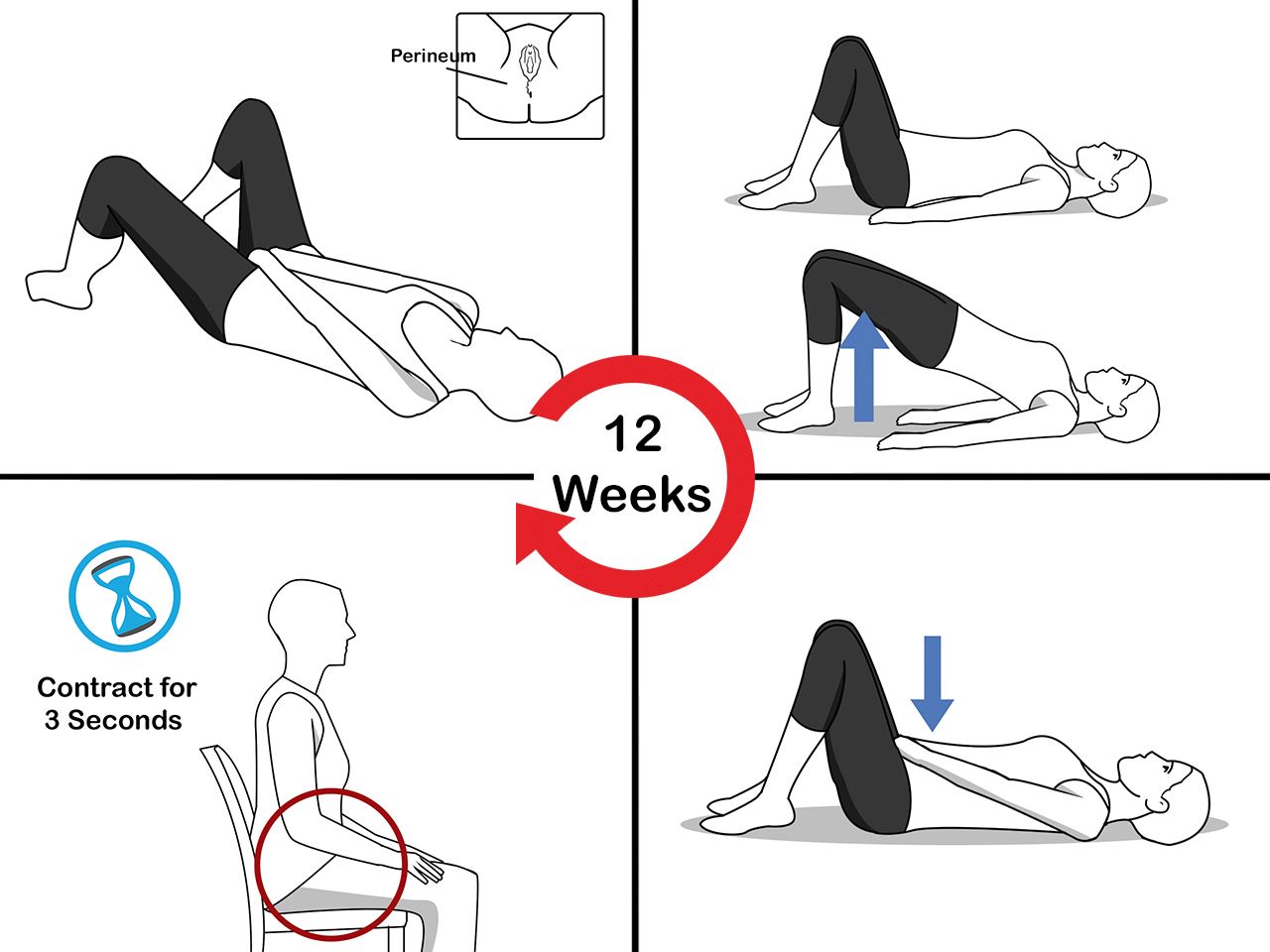 Гимнастика по методу кегеля для женщин в картинках