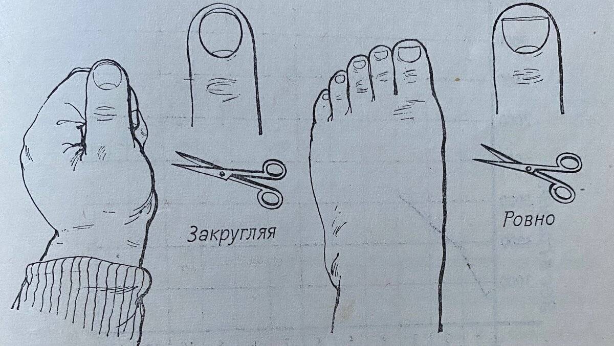 Как правильно стричь ногти на руках и на ногах