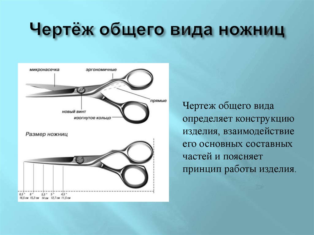 8 правил выбора парикмахерских ножниц | bellehair.info