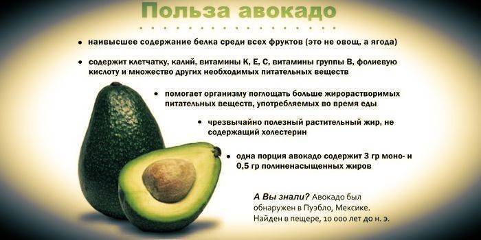 Масло авокадо: польза и вред, особенности, применение, советы