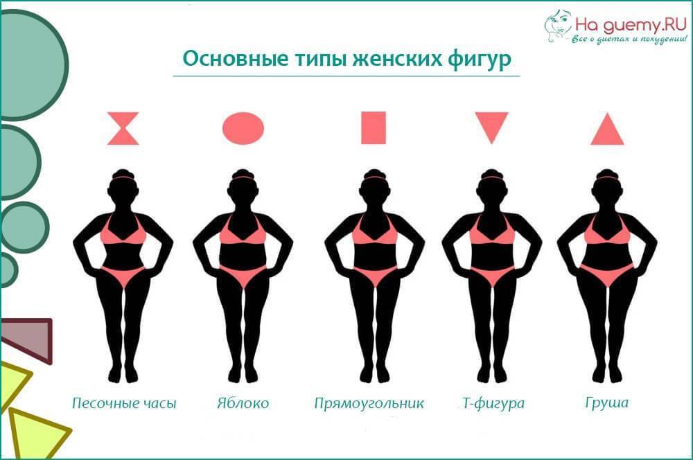 Типы телосложения у женщин- определение фигуры девушки по запястью