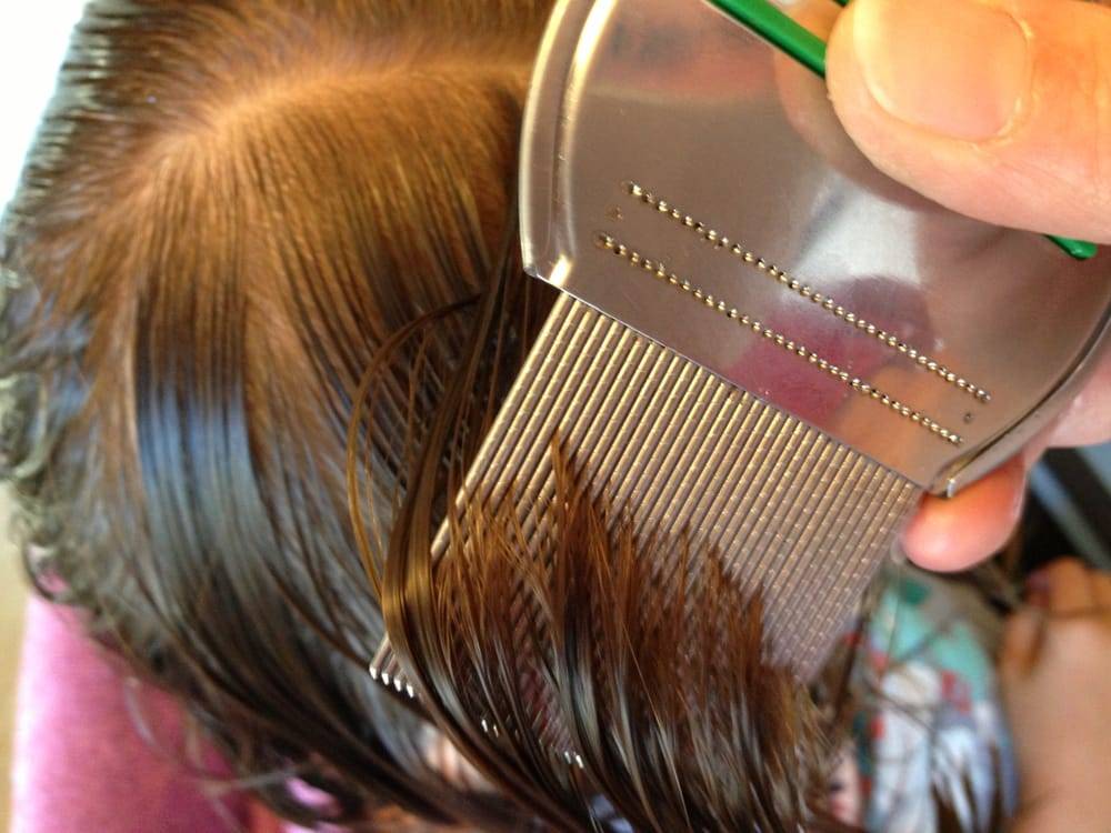 Как обработать парикмахерские инструменты от вшей