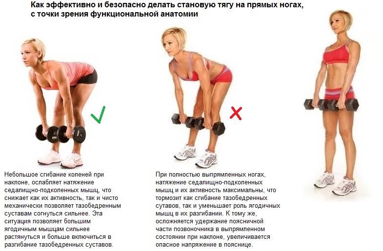 Все виды становой тяги: техника выполнения, разбор ошибок, как правильно делать такое упражнение | rulebody.ru — правила тела