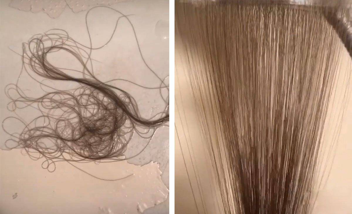 Норма выпадения волос в день у женщин при мытье головы и расчесывании
