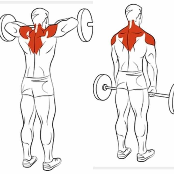 Упражнения на плечи с гантелями для мужчин — лучший комплекс