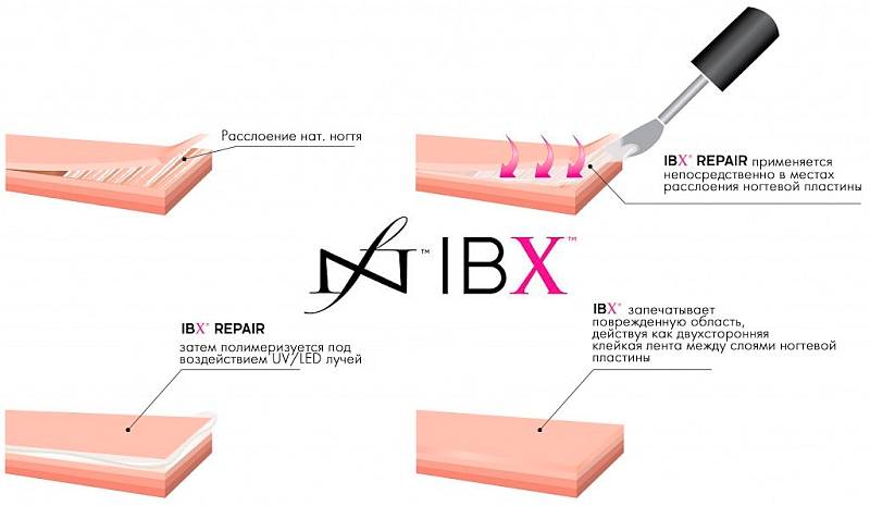 Ibx система для ногтей