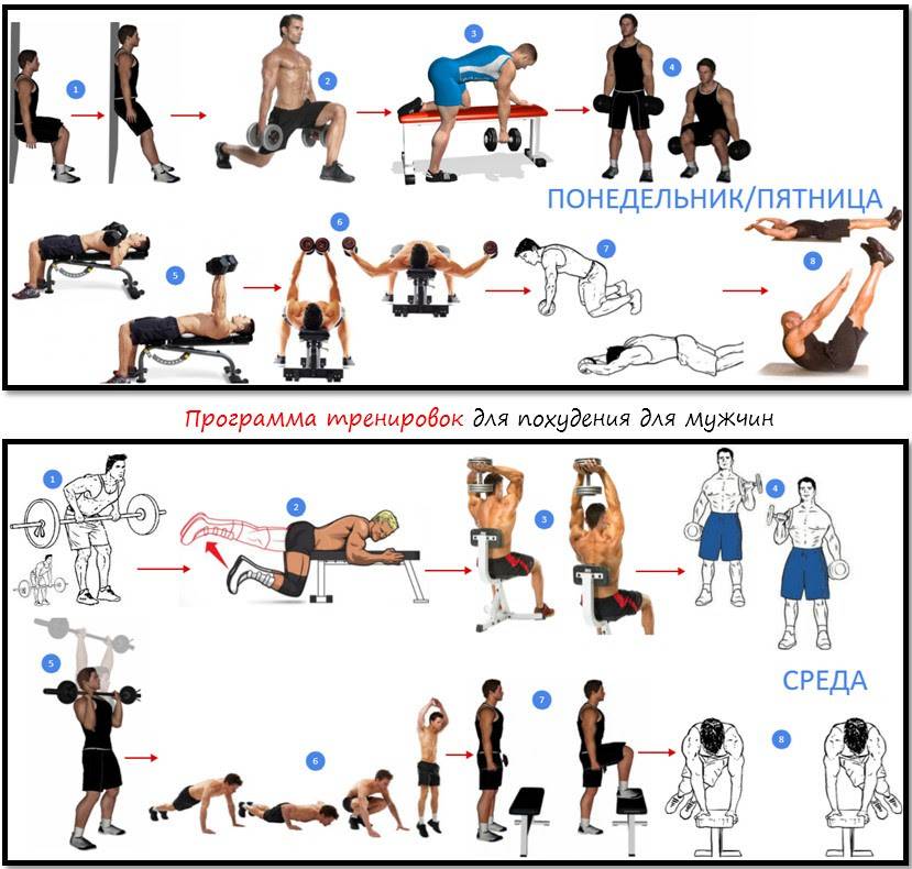 Силовые тренировки для похудения: что лучше фитнес или тренажерный зал, а также что эффективнее для женщин: кардио или силовая