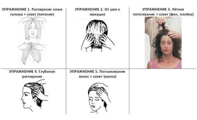 Как сделать массаж головы. Точки массажа головы для роста волос. Массаж для роста волос схема. Упражнения для роста волос на голове. Массаж головы для роста волос упражнения.