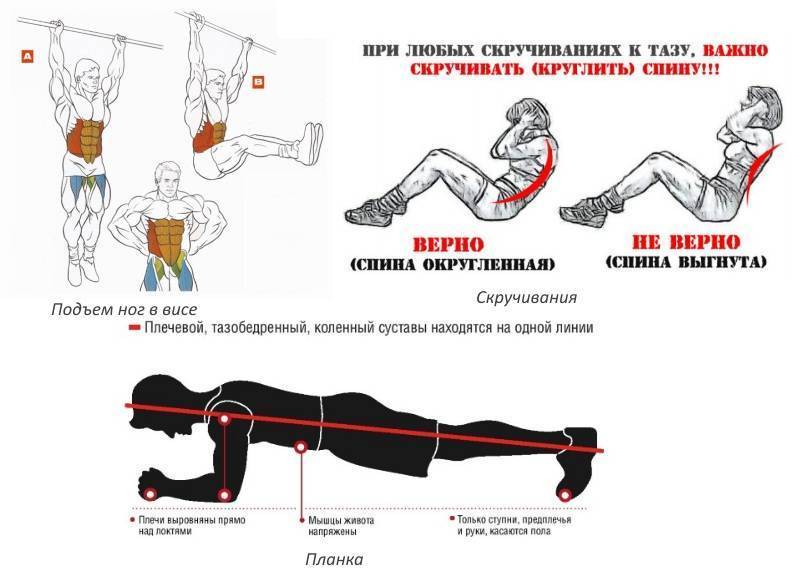 Как накачать поперечные мышцы живот
