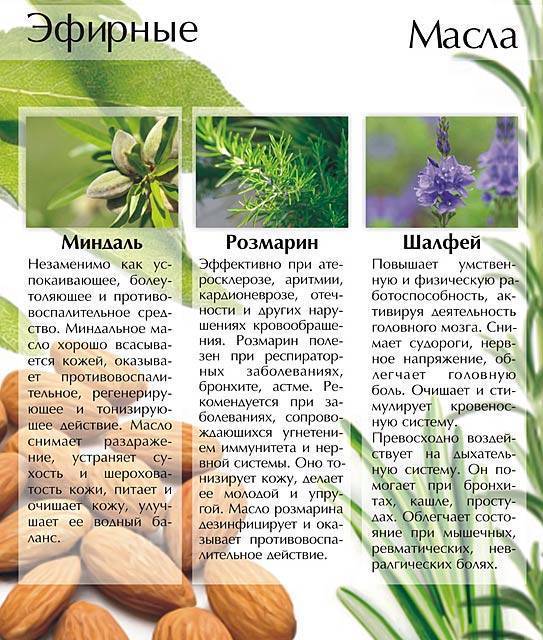Масло розмарина от прыщей и пятен: рецепты и отзывы