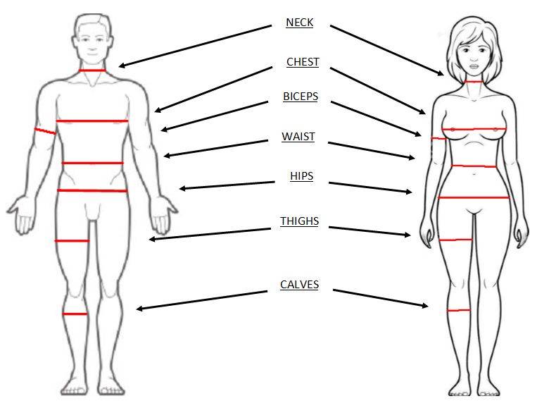Замеры тела при похудении: как правильно делать обмеры объемов женщины, таблица, как измерять, полезные рекомендации