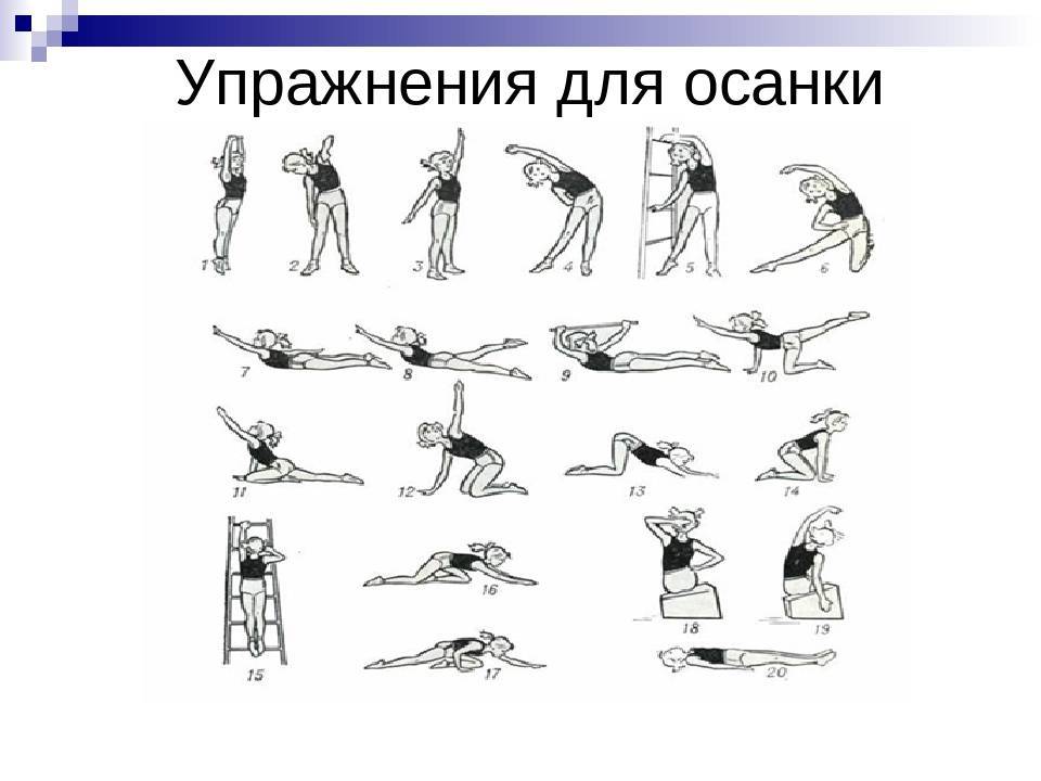 Упражнения для правильной осанки от тренеров gold’s gym