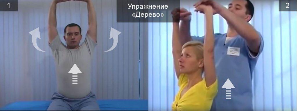 Полная гимнастика шишонина для шеи: 15 упражнений с видео