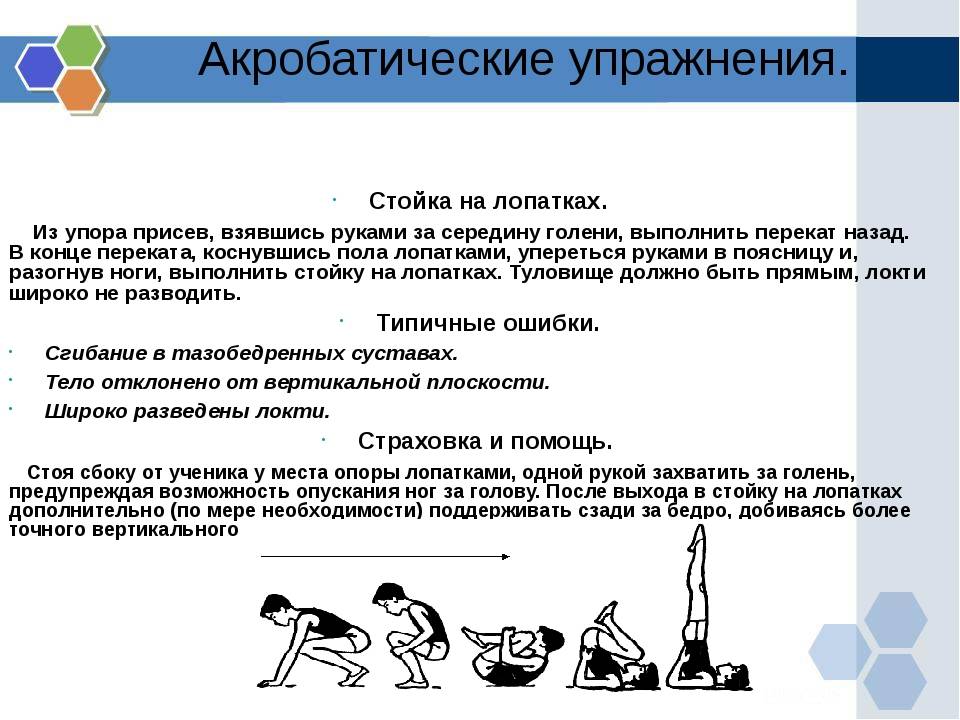 Какие виды гимнастики бывают