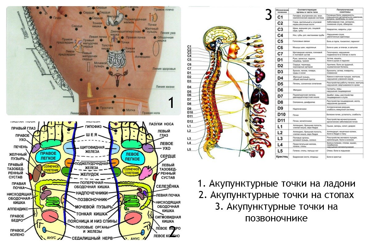 Акупунктура тела человека схема