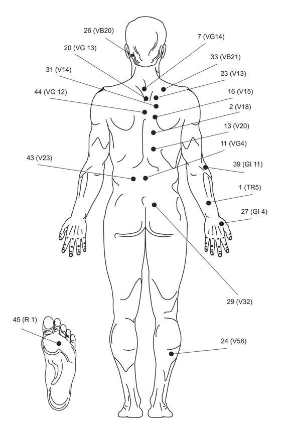 Точки акупунктуры на теле человека (фото) :: syl.ru