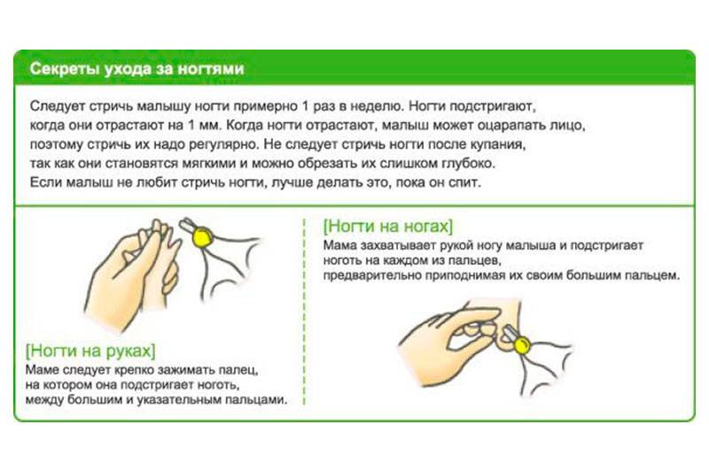 Как подстричь ногти на руках — народные приметы и правила ухода