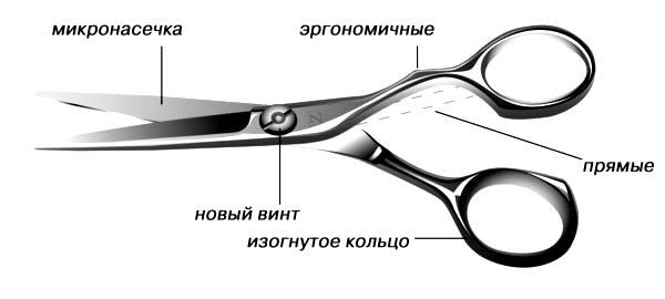 Ножницы для стрижки волос: парикмахерские, филировочные, как выбрать – thevolosy
