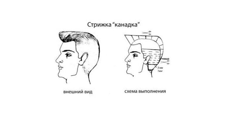 История возникновения стрижка полька