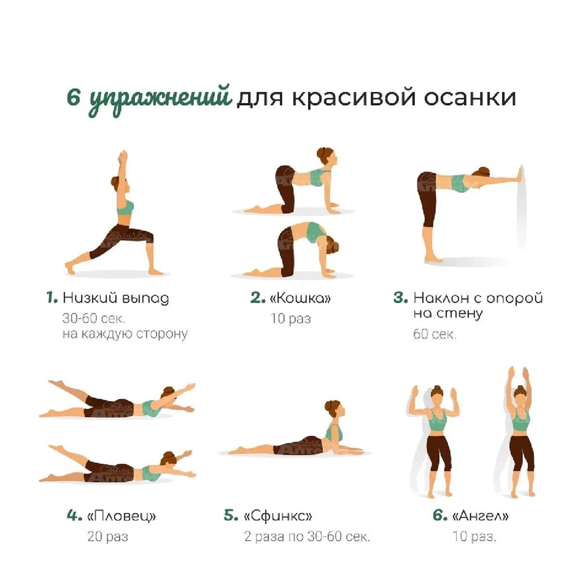 Упражнения для осанки в зале. комплекс упражнений на тренажерах