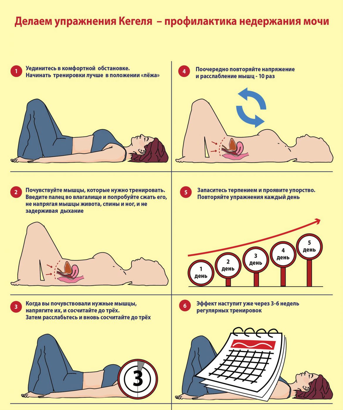 Тренируем интимные мышцы. топ-7 работающих методик