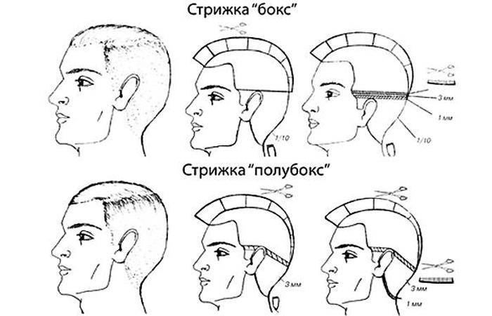 Стрижка полубокс, посягаем на мужское