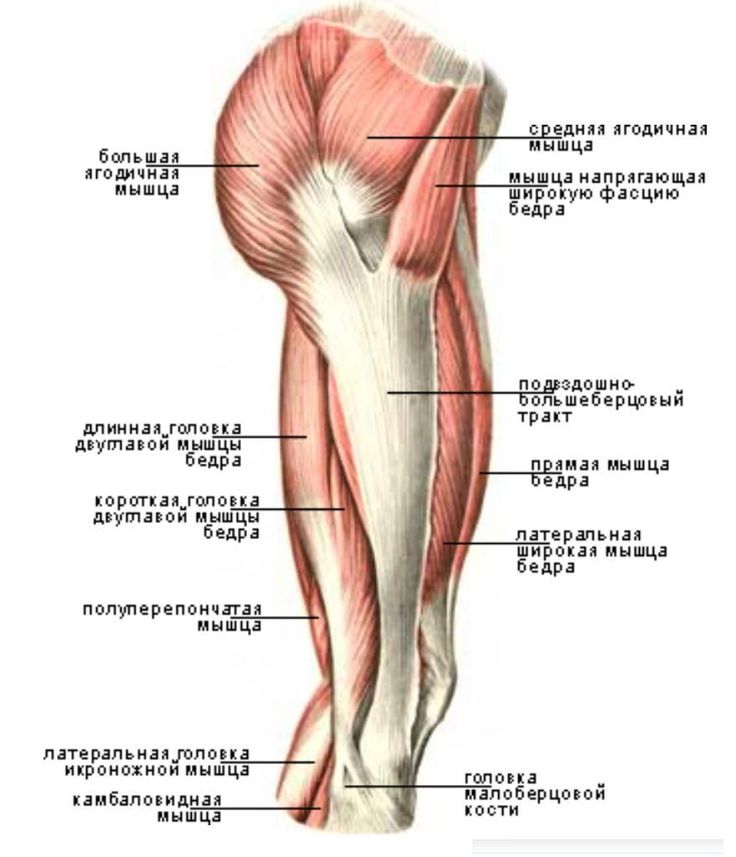 5 упражнений сделают бедра красивыми и сексуальными!
