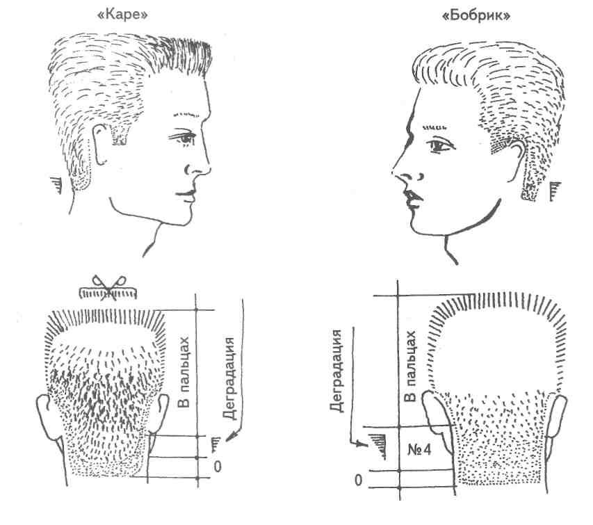 Стрижка полубокс женская: фото на волосах разной длины, как укладывать прическу, кто из знаменитостей носит, можно ли выполнить самостоятельно, плюсы и минусы