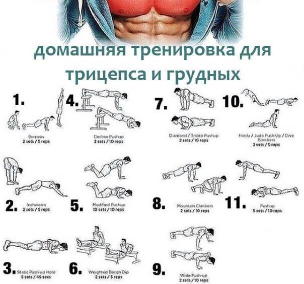 Тренировка груди дома. Упражнения для прокачки грудных мышц для мужчин в домашних условиях. Упражнения на грудь в домашних условиях для мужчин. План тренировки для прокачки грудных мышц. План тренировок для грудных мышц дома упражнения.