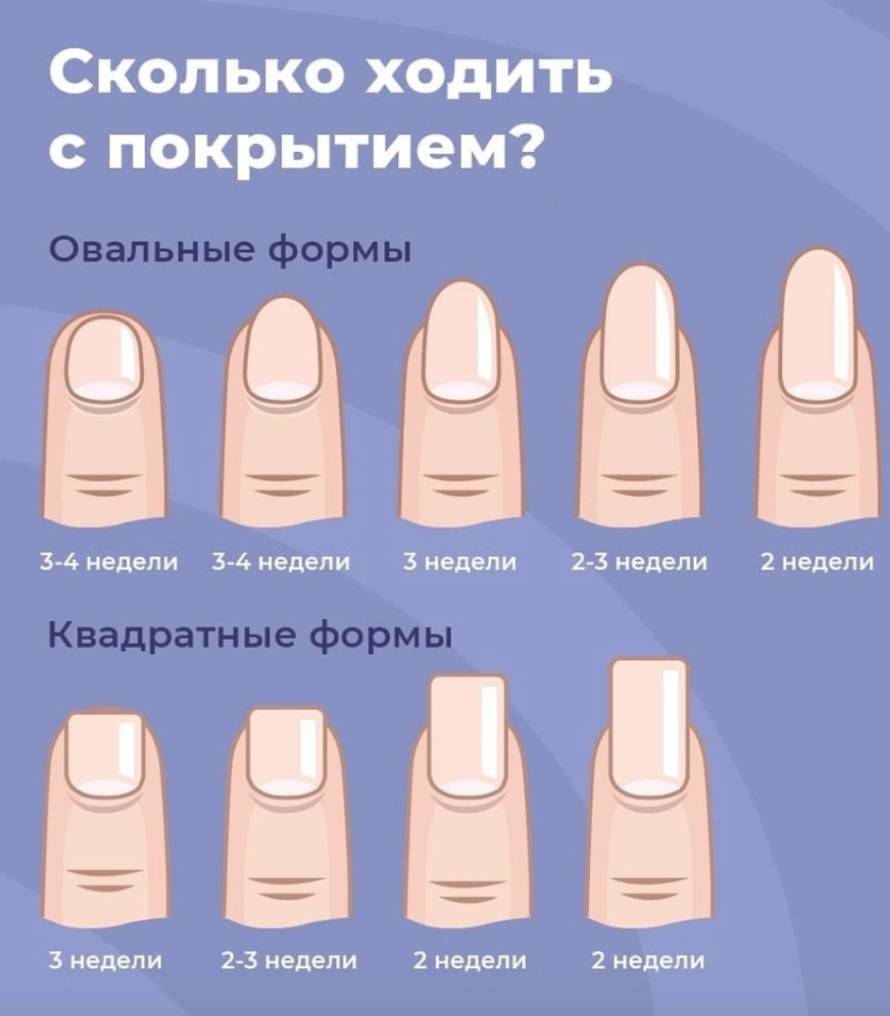 Как должна выглядеть здоровая ногтевая пластина? | красивые ногти - дополнение твоего образа