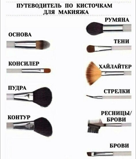 Кисти для макияжа какая для чего