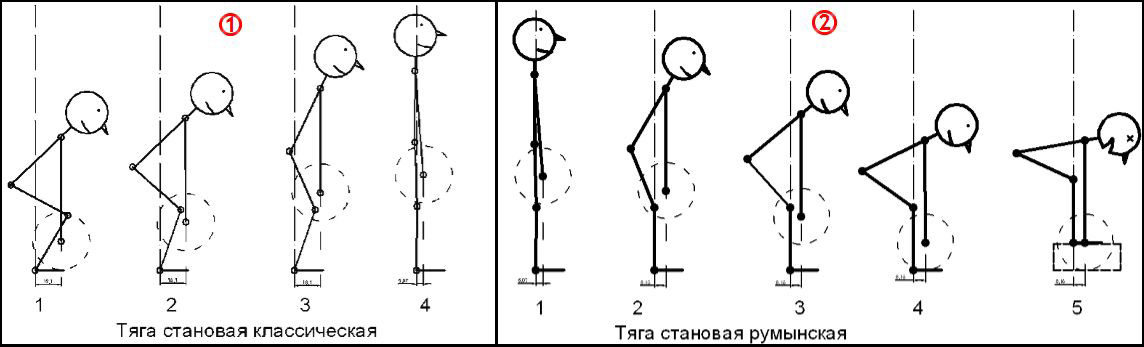 Мертвая тяга на прямых ногах: техника выполнения, отличие от румынской и классической